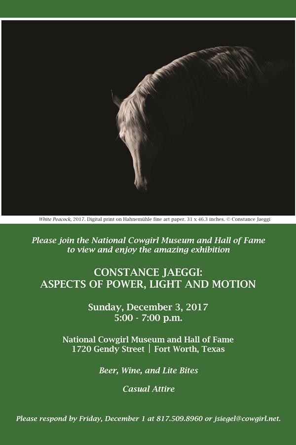 Constance Jaeggi Exhibit Reception 12-3-2017