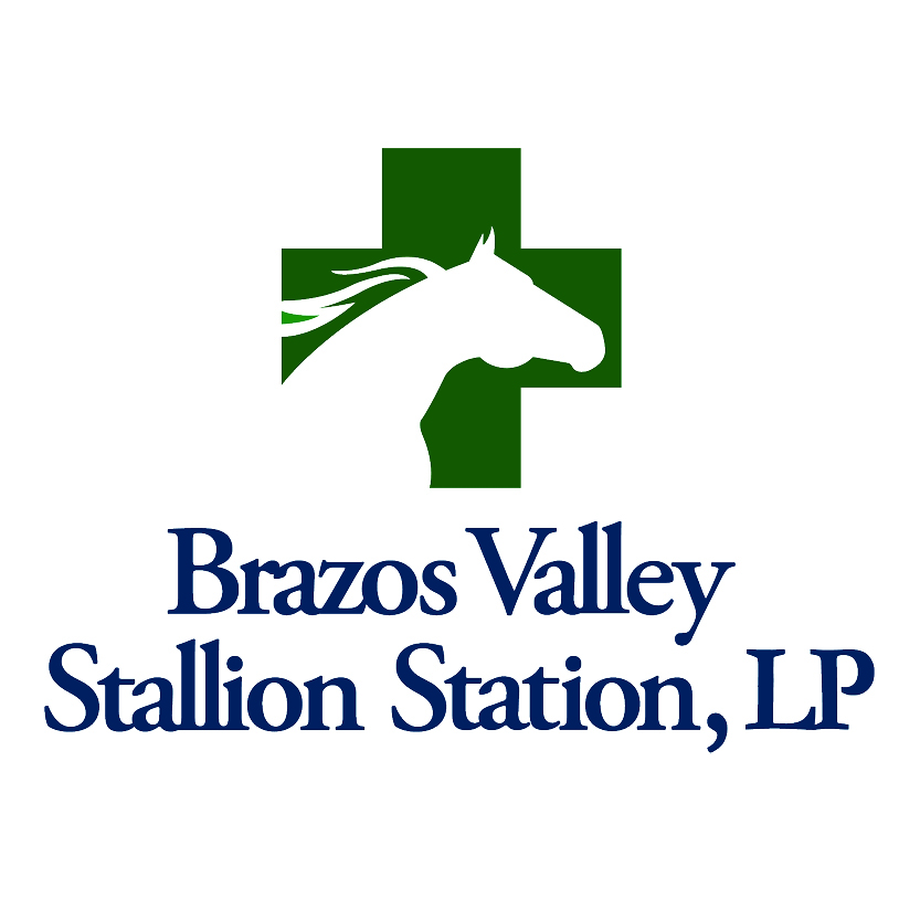 Brazos Valley Stallion Station