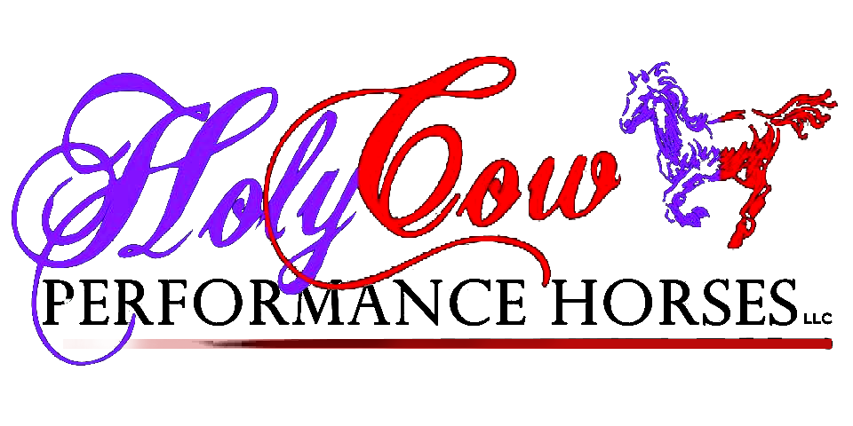 Holy cow fb logo short