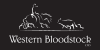 WesternBloodstock