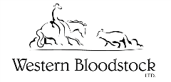 Western Bloodstock